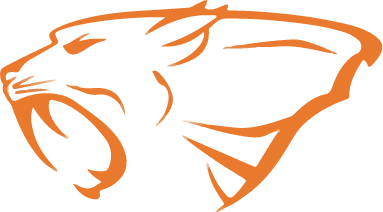Official Saber Logo